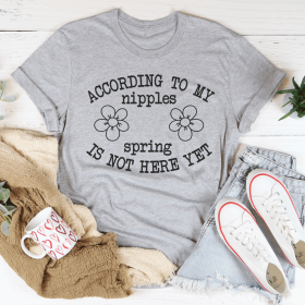 According To My Nipples Spring Is Not Here Yet T-Shirt (Color: Athletic Heather, size: 2XL)
